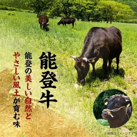 【能登牛】極上ハンバーグ　150g×8ヶ_ハンバーグ 牛肉 お肉 肉 牛 人気 美味しい_【配送不可地域：離島】【1130496】