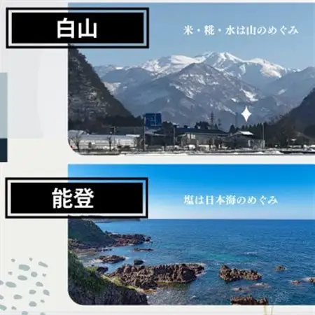白山麓のしょうゆ糀 ＆ 塩こうじ 4個 (各2個)_調味料 醤油  しょうゆ  調味料   _【配送不可地域：離島】【1352826】