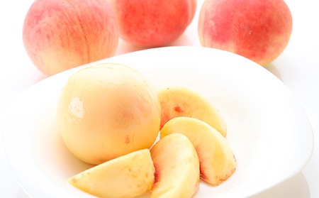 【定期便4回】イチオシフルーツ！やまがた宝箱A FZ25-823