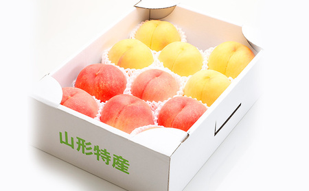 【定期便3回】旬のフルーツ　よくばり定期便  FZ25-824