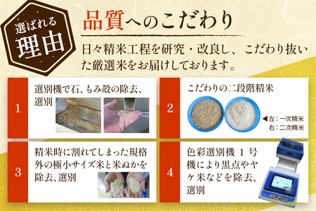 20kg（5kg×4袋）大手有名百貨店出荷米 あきたこまち【白米】令和7年産 米 お米