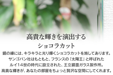 次世代壁面境 プレミア（超高透明鏡）ミラー 壁掛け鏡 フランス サンゴバン社製 九鏡 ショコラカット