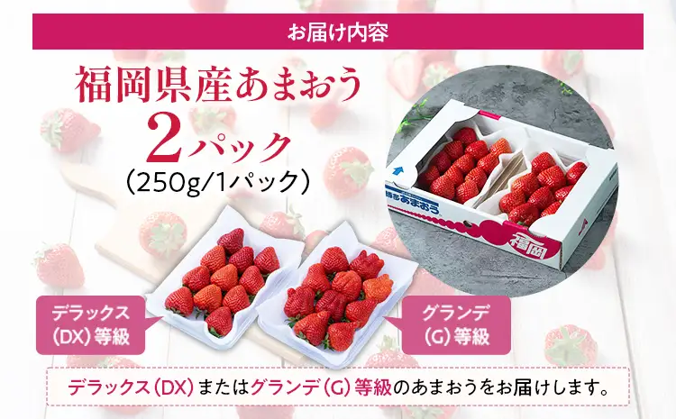 あまおう 福岡産【冬】あまおう 2パック 合計500g （1パックあたり250g） いちご 苺 果物 フルーツ 九州産 福岡県産 冷蔵 送料無料【12月上旬発送開始予定】