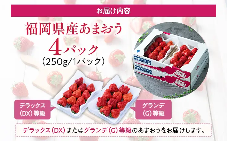 福岡産【冬】あまおう 4パック 合計1000g （1パックあたり250g） いちご 苺 果物 フルーツ 九州産 福岡県産 冷蔵 送料無料【12月上旬発送開始予定】