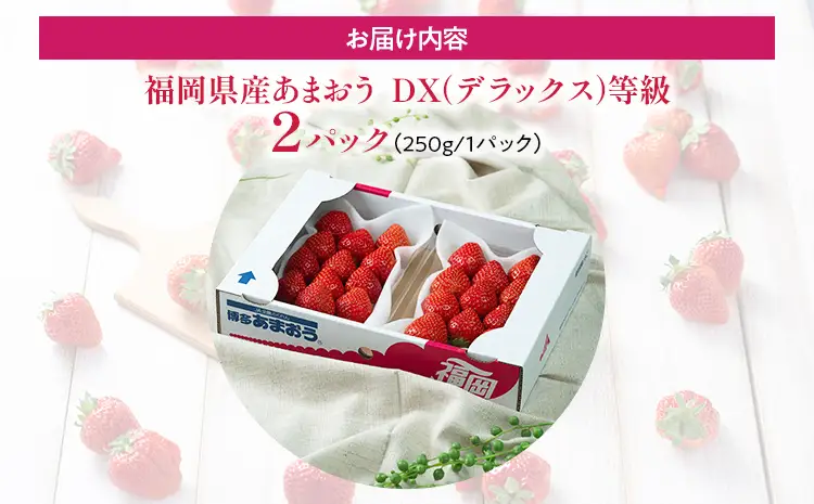 福岡産【冬】あまおうDX（デラックス）2パック いちご 苺 果物 フルーツ 九州産 福岡県産 冷蔵 送料無料 【12月上旬発送開始予定】 イチゴ フルーツ 果物 くだもの ブランド 国産 甘味 果汁