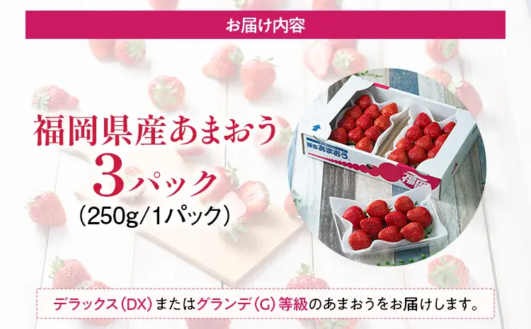 福岡産【春】あまおう 3パック 合計750g （1パックあたり250g） いちご 苺 果物 フルーツ 九州産 福岡県産 冷蔵 送料無料 【2月上旬発送開始予定】