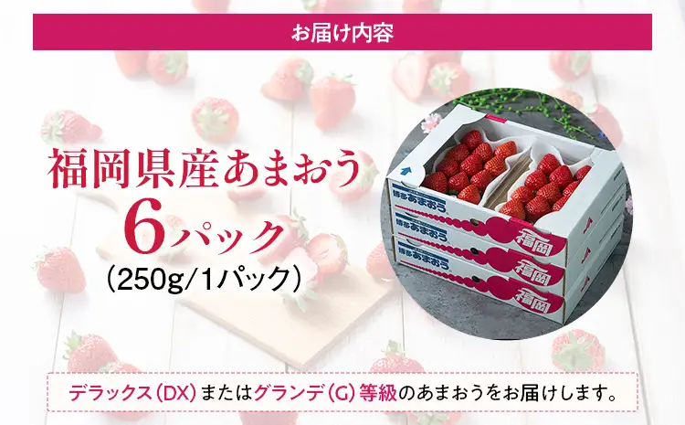 福岡産【春】あまおう 6パック 合計約1500g（1パックあたり250g） いちご 苺 果物 フルーツ 九州産 福岡県産 冷蔵 送料無料 【2月上旬発送開始予定】