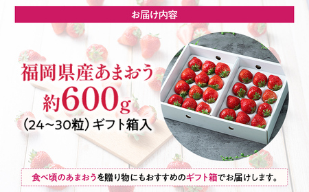 福岡産 あまおう 約600g (24～30粒) 1箱 いちご 苺 果物 フルーツ 九州産 福岡県産 冷蔵 ギフト箱 箱入り ギフト 贈り物 送料無料【12月上旬発送開始予定】