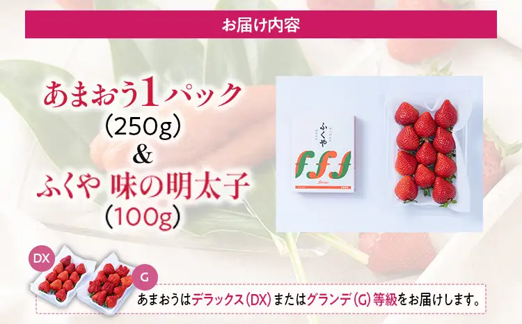 あまおう 1パック ＆ ふくや味の明太子 100g 明太子 惣菜 あまおう イチゴ いちご スイーツ 果物 フルーツ 送料無料【12月上旬発送開始予定】