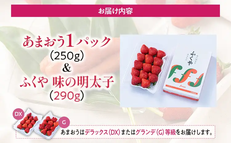 あまおう 1パック ＆ ふくや味の明太子 290g 明太子 惣菜 あまおう イチゴ いちご スイーツ 果物 フルーツ 送料無料【12月上旬発送開始予定】