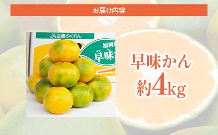 福岡県産ブランドみかん 「早味かん」約4kg箱