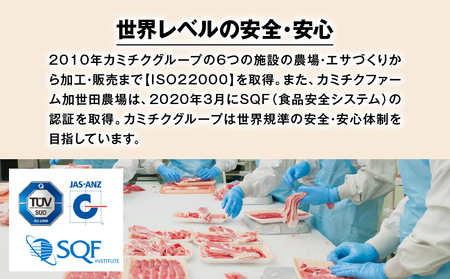 【全4回】A5等級 鹿児島 黒毛和牛 赤身 定期便 K002-T01 肉 牛肉 冷凍