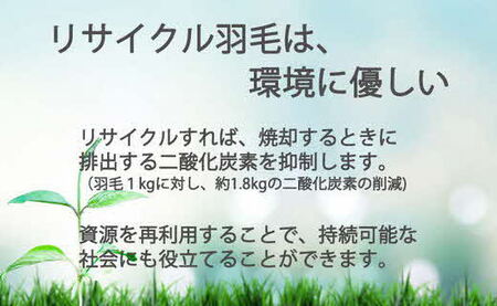 ザ・羽毛ふとん/立体キルト 布団 睡眠 寝具 ふとん【251-000366-20】【6.8-2】