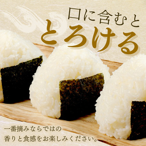 一番摘み 味付海苔詰合せ 5種30袋セット 味海苔 有明海苔【034-0021】