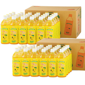 ＜定期便・全6回(連続)＞ ゆずだもん。 ウォーター (500ml×48本、ペットボトル) 定期便 ゆず 【株式会社財宝】T11-v01