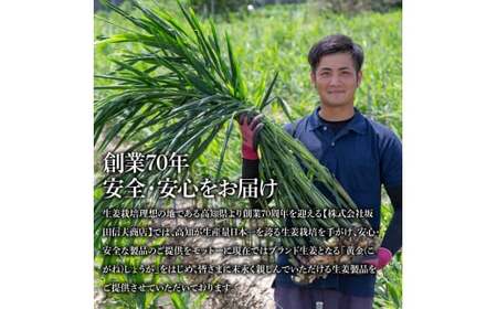 味付け極しょうが110g×10袋 