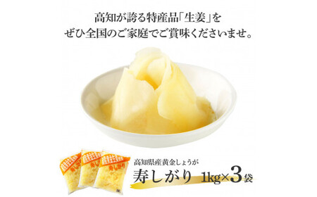 国産黄金しょうが寿しがり1kg×3袋 