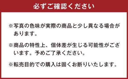 165-967 ともだちはくま ぬいぐるみ （やせい）＋ 限定 アクリルキーホルダー