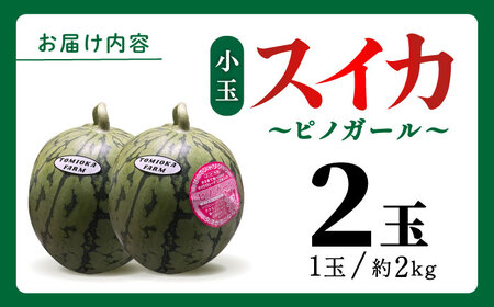 先行予約 種ごと食べられる小玉スイカ2玉ピノガールZEM003