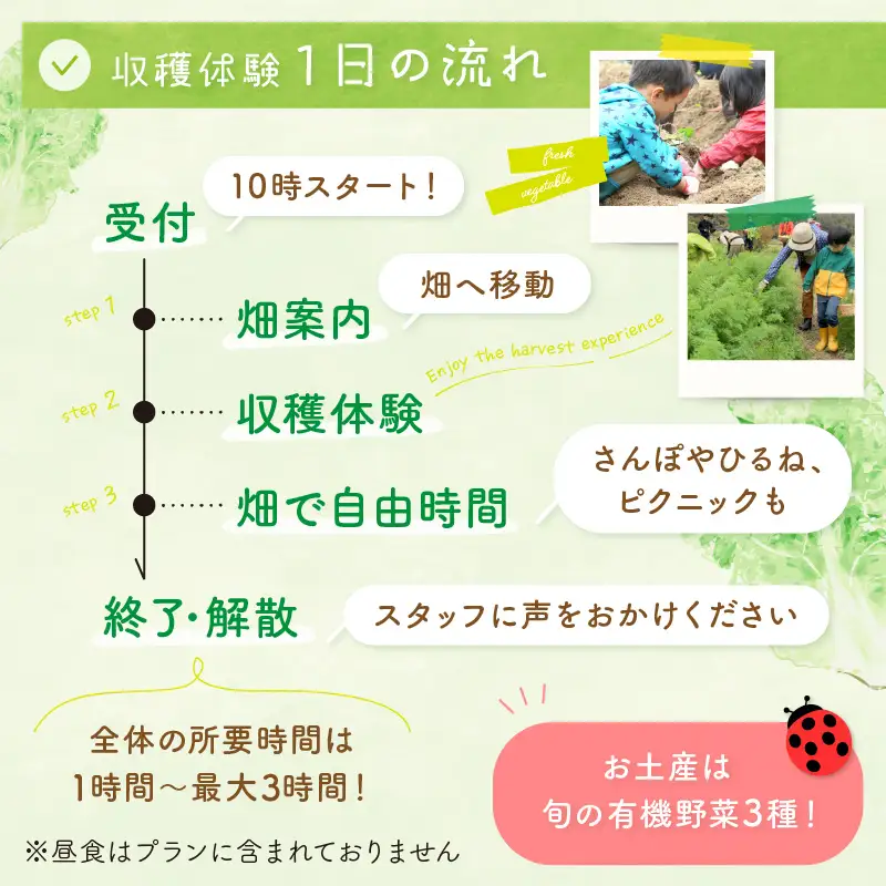オーガニックファームでのんびり過ごそう！収穫体験&お土産付き(2名様分)