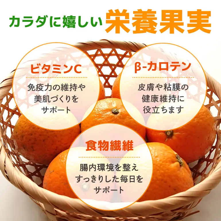【 2027年 先行予約 】《 奄美大島産 》 おいしい 完熟 たんかん 光センサー選別 5kg A145-002 期間 数量 限定 柑橘 みかん 果物 フルーツ 旬 甘い 光センサー サイズ おまかせ 奄美大島 ピーラー付き フラスコ ふるさと納税 鹿児島 奄美市 おすすめ ランキング プレゼント ギフト