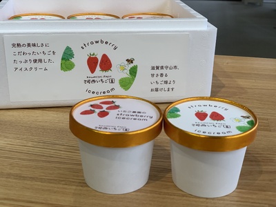 数量限定！いちご農園のアイスクリーム８個パック  完熟いちご アイス アイスクリーム 河西いちご園 完熟いちご  AM-0008