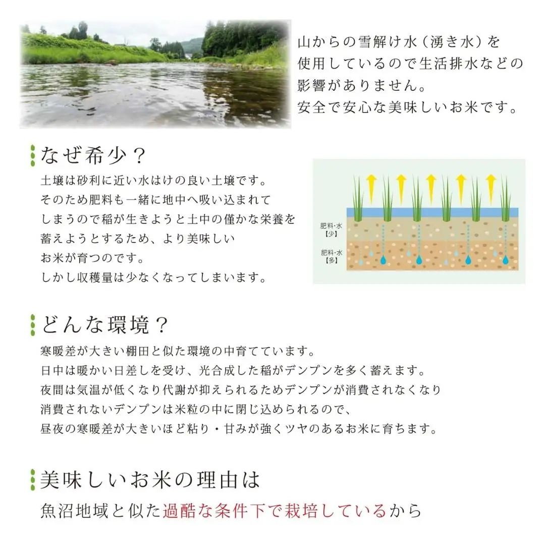[定期便] 天水田で育った コシヒカリ 5kg ×3か月 オーガニック米 新潟県産 コシヒカリ