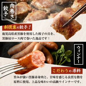 【訳あり・業務用】鹿児島県産黒豚で作るおかずセット(計1.1kg超) a7-007