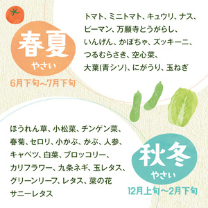 ＜先行予約受付中！2026年6月上旬より順次発送予定＞旬の有機野菜セットB(10～12品)やさい 詰合せ 詰め合わせ 季節 おまかせ お楽しみ【114500201】【さとう有機農園】
