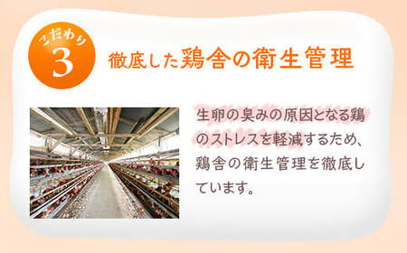 小久保ファーム　濃厚卵黄　産みたてたまご　赤玉50個入り（M玉） _EI02