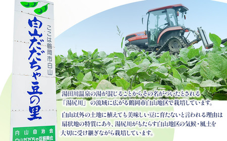 数量限定【令和8年産先行予約】 白山だだちゃ豆　1.5kg（500g × 3袋） + 訳あり200g　鶴岡市白山産　長五郎
