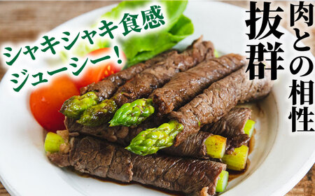 【6回定期便】春＆夏のグリーンアスパラガス 約1kg [SEY011] アスパラ