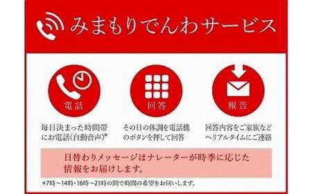 郵便局のみまもりサービス「みまもりでんわサービス」（固定電話、3カ月間） 011010 見守り みまもり