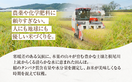 令和6年産 新米 先行受付 【織部の里米(R)】精米 ハツシモ5kg×1袋 岐阜県本巣市産 米  もとすファーム