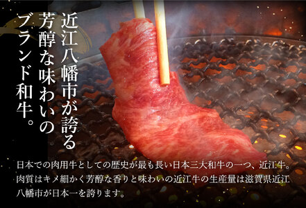【PRキャンペーン対象】近江牛 カルビ 焼肉 500g 【BS02W】 近江牛 牛肉