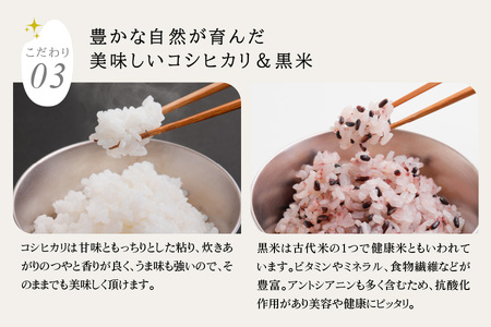 【令和5年度産】蛍舞う綺麗な水で育てたお米 有機肥料米 コシヒカリ(精米)5kg＆黒米450gセット [1450]
