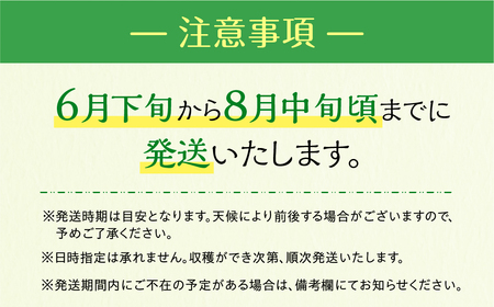 《先行予約》マスクメロン 2玉 2Lサイズ 伊良湖メロン男子