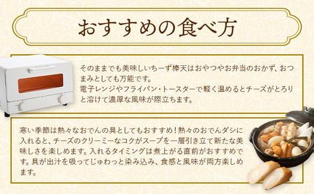 ち～ず棒天セット 約120g×5個 計約600g《30日以内に出荷予定(土日祝除く)》 チーズ チーズ棒天 かまぼこ 蒲鉾 揚げたて 惣菜 おつまみ セット 九州 熊本県 菊池市 冷蔵 送料無料