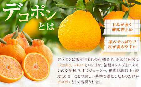 菊池銘菓 ぽんぽんブッセ 1箱 8個入り 有限会社中原松月堂《30日以内に出荷予定(土日祝除く)》熊本県 菊池市 和菓子 洋菓子 お菓子 焼き菓子 菓子折り 銘菓 デコポン 不知火 ブッセ デザート スイーツ 九州