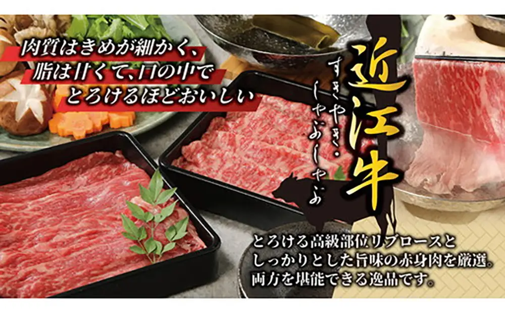 【ふるなびWEEK対象】近江牛 すき焼き しゃぶしゃぶ 500g （リブロース250g、モモまたはウデ250g）【BS01W-FN】 牛肉すき焼き