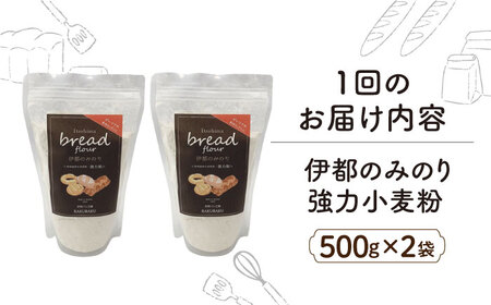 【全12回定期便】特別栽培 小麦 使用 伊都 の みのり( 500g × 2袋 )糸島市 / 天然パン工房楽楽【いとしまごころ】 [AVC068]