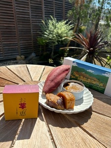A305 お芋の恵 100g×6缶【芋 さつまいも 焼き芋 缶詰 離乳食 保存食 大阪 八尾市】