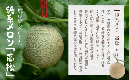 《先行予約》純系 古田メロン1玉 メロン 石井農園