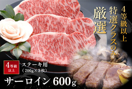 近江牛 サーロインステーキ 600g (200g×3枚) AF04W  ステーキ