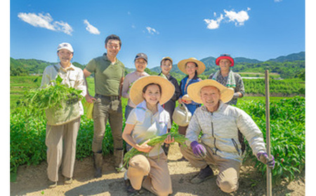 河南町新鮮アジア野菜「お試しセット」 No.331