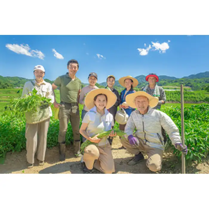 河南町新鮮アジア野菜「お手軽セット」 No.332