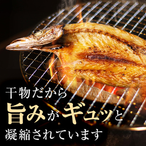 氷見名産【氷見うどん】【一夜干し】氷見産味醂干２種・氷見産食べる煮干し・氷見煮干し使用めんつゆ・鱈場おすすめ一夜干し３種セット 魚貝類 加工食品 魚介類 氷見うどん 煮干し アジ みりん干し 一夜干し カマス 富山湾 氷見