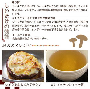 DM6003_最高級 肉厚椎茸 清流椎茸 1kg (200g×5パック)
