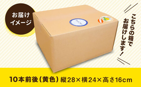 【先行予約】糸島 トウモロコシ 『もきっこ』 黄 （ 10本前後 ） 【2026年6月下旬以降順次発送】《糸島》 【内田農業】 [AZH001]
