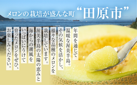 《先行予約》アールスメロン 3L×4玉 メロン 日研農園